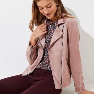 LOFT dusty pink Faux suede moto jacket